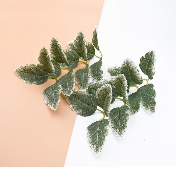 200pcs silk green leaf artificial plants wholesale wedding decorative flowers wreaths diy christmas craft leaves home de qylpjx
200pcs silk green leaf artificial plants wholesale wedding decorative flowers wreaths diy christmas craft leaves home de qylpjx