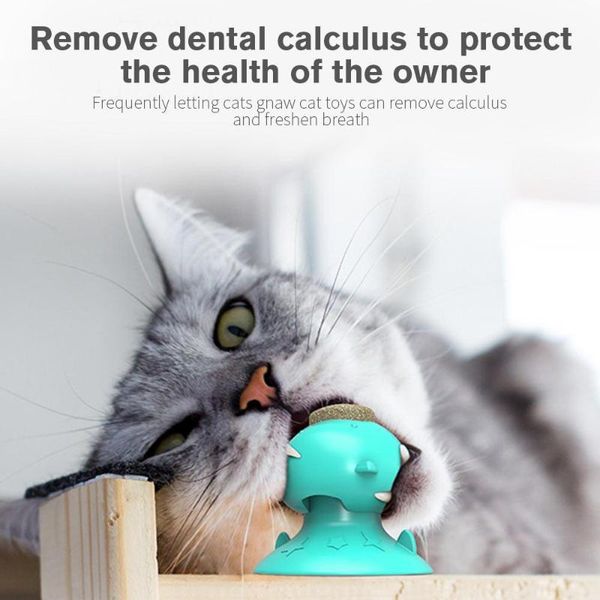 cat toys edible kitty 3 colors suction cup base dental toy mint kitten funny catnip ball pig head shape tpr
cat toys edible kitty 3 colors suction cup base dental toy mint kitten funny catnip ball pig head shape tpr