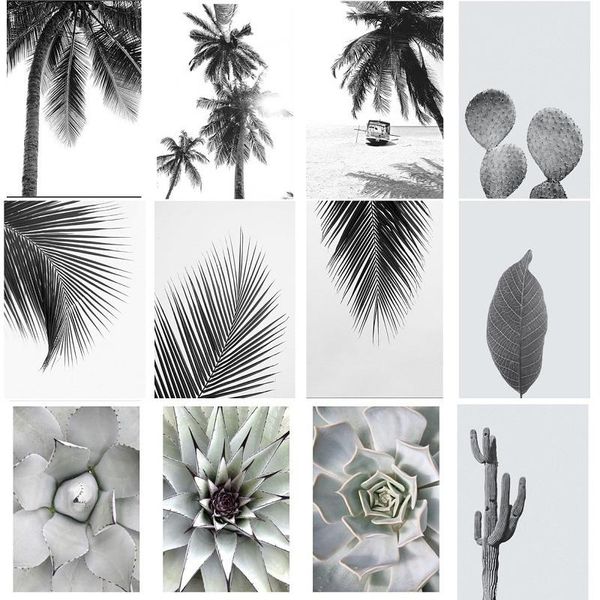 paintings black and white landscape beach palm trees decoration nordica home canvas painting garden poster bedroom pictures
paintings black and white landscape beach palm trees decoration nordica home canvas painting garden poster bedroom pictures