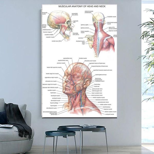 paintings anatomy muscles head neck posters and prints canvas art wall home decoration pictures living room
paintings anatomy muscles head neck posters and prints canvas art wall home decoration pictures living room