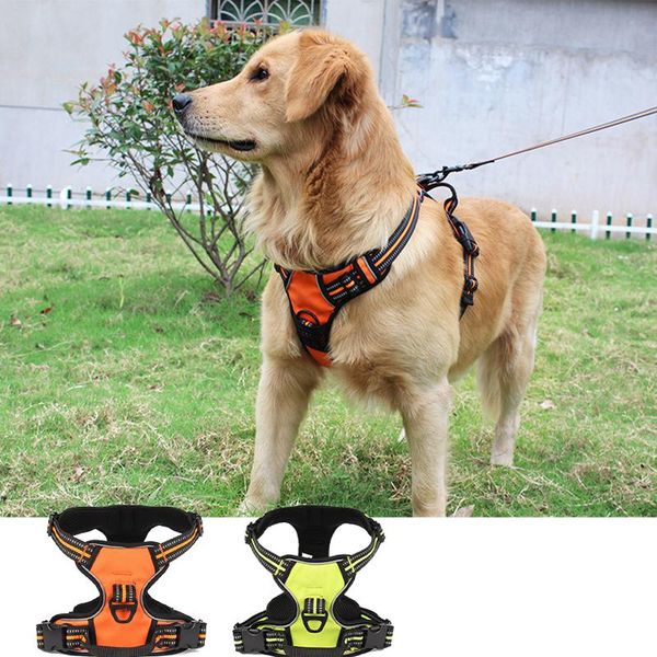 dog collars & leashes pet chest belt adjustable harness and lead leash set breathable soft comfortable vest for puppy outdoor walking suppli
dog collars & leashes pet chest belt adjustable harness and lead leash set breathable soft comfortable vest for puppy outdoor walking suppli