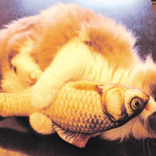 cat toys artificial fish plush pet puppy dog sleeping cushion fun toy mint catnip gadget jouet
cat toys artificial fish plush pet puppy dog sleeping cushion fun toy mint catnip gadget jouet