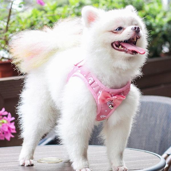 dog collars & leashes pet chest strape harness rope set nylon material soft comfortable cat outdoor walking supplies
dog collars & leashes pet chest strape harness rope set nylon material soft comfortable cat outdoor walking supplies