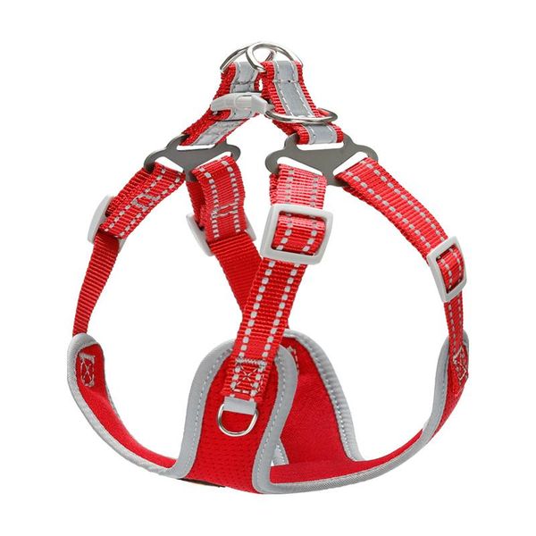 dog hand holding rope dog rope pet small and medium-sized dogs teddy vest collar chest strap puppy walking chain
dog hand holding rope dog rope pet small and medium-sized dogs teddy vest collar chest strap puppy walking chain