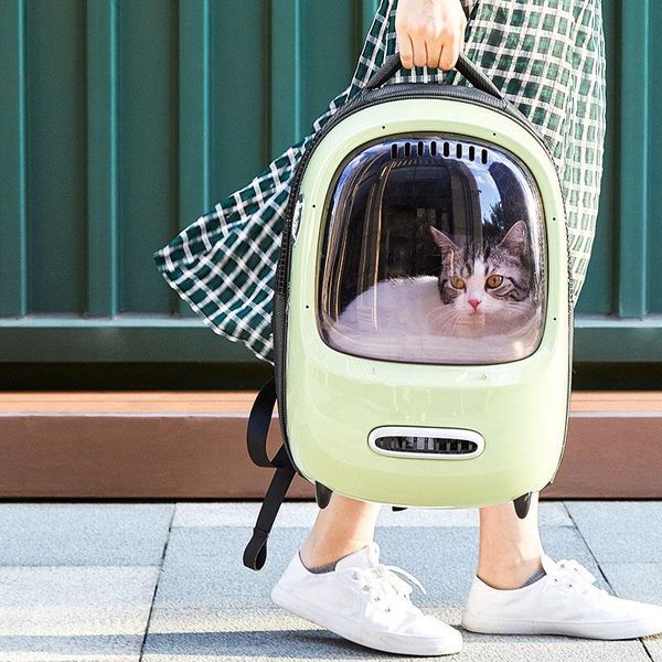 petkit portable cat backpack bag out space pet double shoulder bag transparent cat dog supplies for travelling
petkit portable cat backpack bag out space pet double shoulder bag transparent cat dog supplies for travelling
