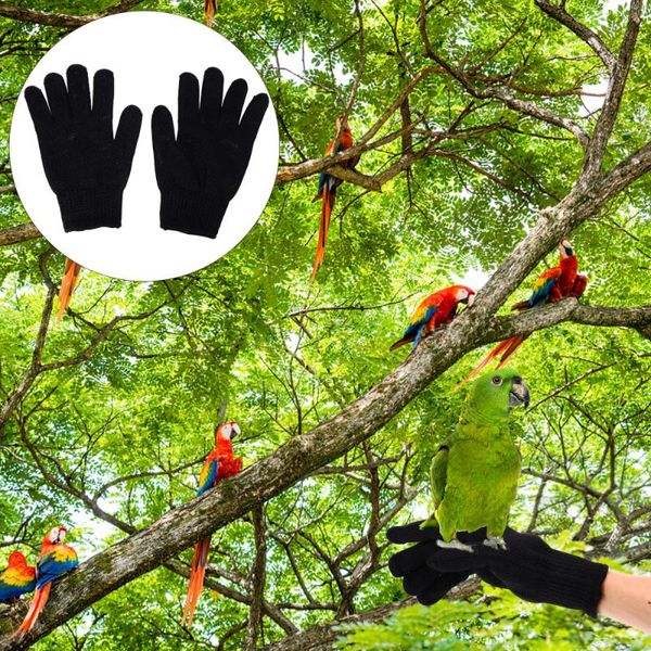 cycling gloves 1 pair small animals handling protection bird training anti-bite, Black
cycling gloves 1 pair small animals handling protection bird training anti-bite, Black