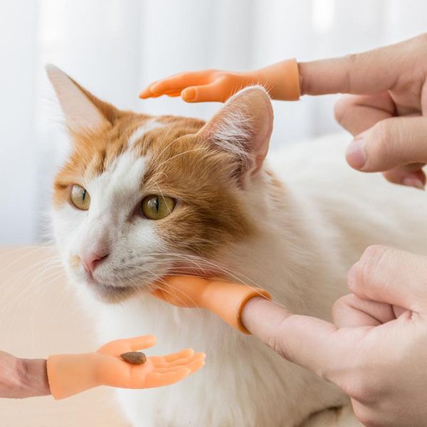 cat toys funny mini hands toy palm shaped creative finger small hand tease kitten cats massager grooming gloves pet supplies
cat toys funny mini hands toy palm shaped creative finger small hand tease kitten cats massager grooming gloves pet supplies