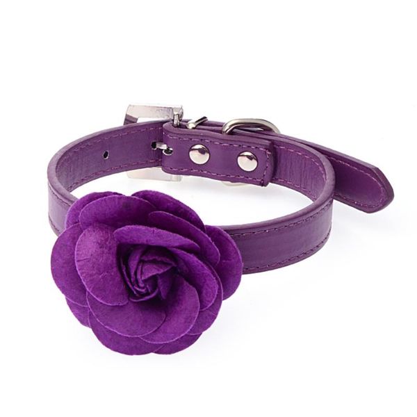 dog collars & leashes sweet rose flower pet collar 3 candy color puppy necklace perro xs/m adjustable size on sale
dog collars & leashes sweet rose flower pet collar 3 candy color puppy necklace perro xs/m adjustable size on sale