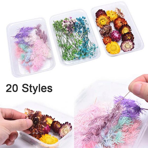 decorative flowers & wreaths 1 box real mix dried plant for resin jewellery dry plants pressed making craft diy po frame accessories
decorative flowers & wreaths 1 box real mix dried plant for resin jewellery dry plants pressed making craft diy po frame accessories