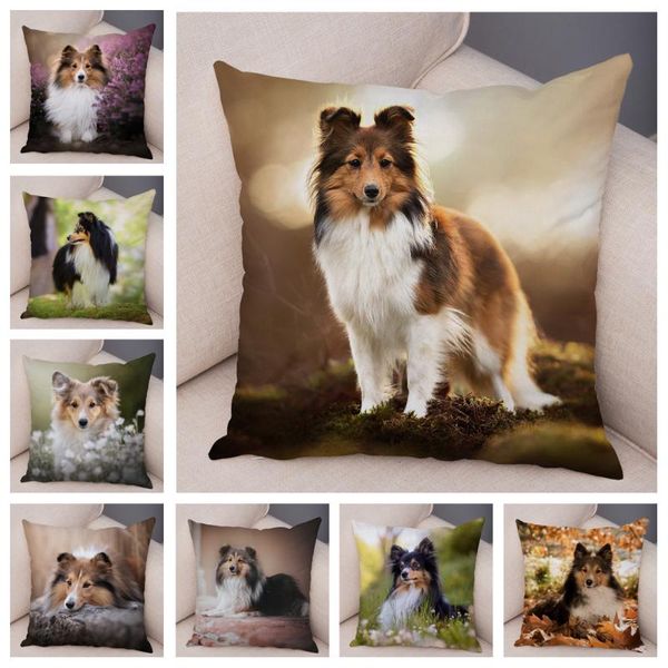 cushion/decorative pillow cute pet animal dog soft plush case for home sofa car decor cushion cover printed shetland sheepdog pillowcase 45x
cushion/decorative pillow cute pet animal dog soft plush case for home sofa car decor cushion cover printed shetland sheepdog pillowcase 45x