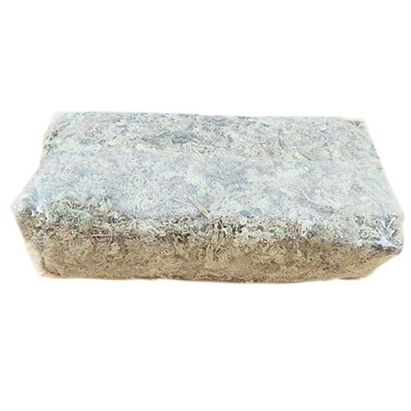 1 pack artificial moss lichenee simulation fake green plants for home garden patio decoration
1 pack artificial moss lichenee simulation fake green plants for home garden patio decoration