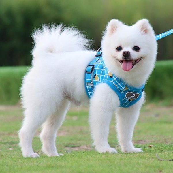 dog collars & leashes the pet chest straps reflective breathable cat leash harness vest type products and set
dog collars & leashes the pet chest straps reflective breathable cat leash harness vest type products and set