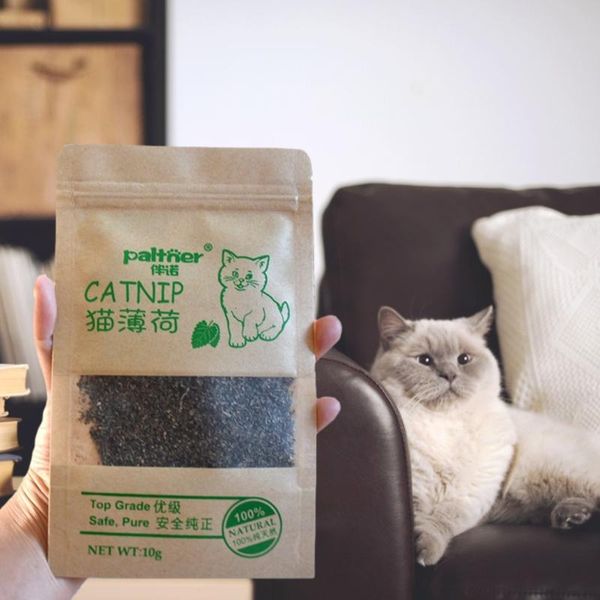 cat toys toy organic 100% natural premium catnip cattle grass 10g flavor funny interactive non-toxic dropship
cat toys toy organic 100% natural premium catnip cattle grass 10g flavor funny interactive non-toxic dropship