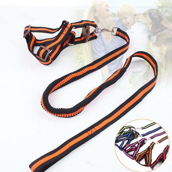 dog collars & leashes pet elastic harness nylon leash set adjustable lead soft durable large medium for and
dog collars & leashes pet elastic harness nylon leash set adjustable lead soft durable large medium for and