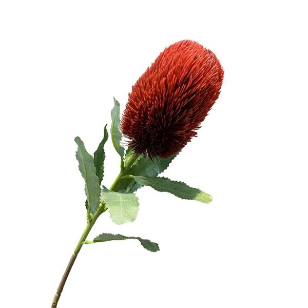 decorative flowers & wreaths home decoration artificial bouquets flower fake plants 64cm for living room bedroom wedding elegant floral
decorative flowers & wreaths home decoration artificial bouquets flower fake plants 64cm for living room bedroom wedding elegant floral