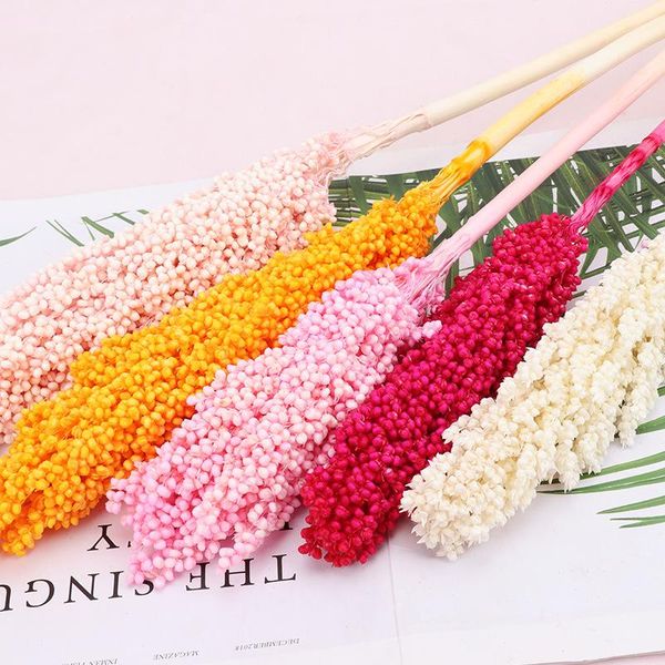 decorative flowers & wreaths 2pcs/bunch natural flower preserved sorghum dried bouquet wedding living room decoration home decor shooting pr
decorative flowers & wreaths 2pcs/bunch natural flower preserved sorghum dried bouquet wedding living room decoration home decor shooting pr