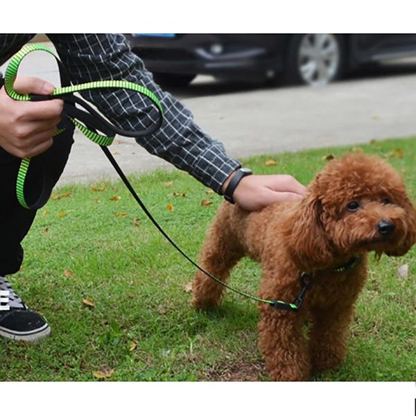 dog collars & leashes nylon collar lead strap set adjustable reflective weave braid belt for small medium large dogs cats strength neck
dog collars & leashes nylon collar lead strap set adjustable reflective weave braid belt for small medium large dogs cats strength neck