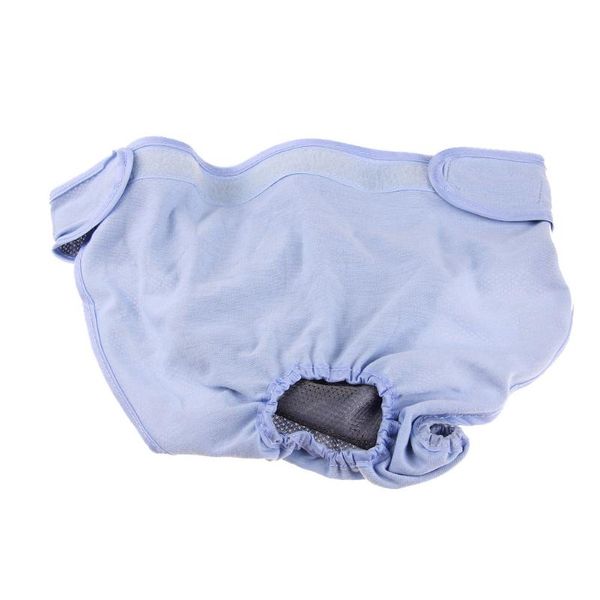 dog apparel comfortable pet panties strap sanitary underwear diapers physiological pants clothing sp99
dog apparel comfortable pet panties strap sanitary underwear diapers physiological pants clothing sp99