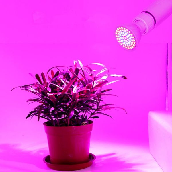 crossborder plant growth lamp cup led lamp cup full spectrum e27/gu10/e14 plastic fill light spot supply protect plants
crossborder plant growth lamp cup led lamp cup full spectrum e27/gu10/e14 plastic fill light spot supply protect plants