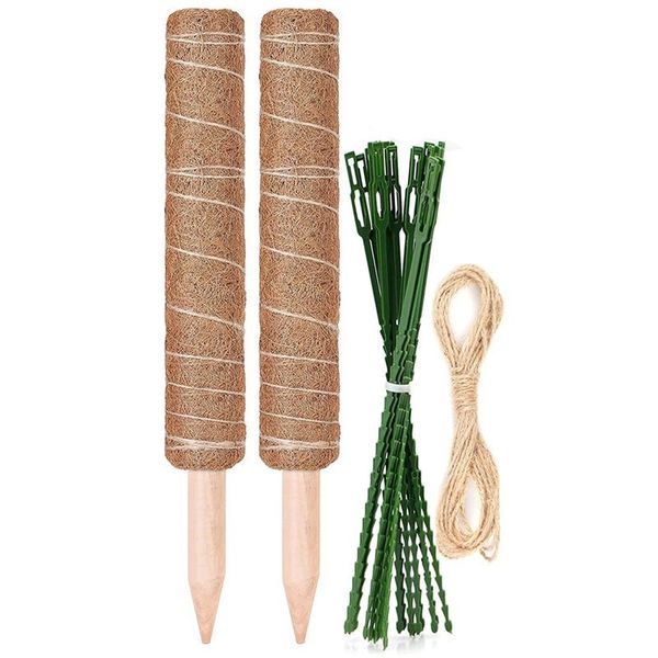 decorative flowers & wreaths 2-pack 12inch moss poles with 20pcs adjustable plant ties 17ft jute string, henrycares extendable coco coir tot
decorative flowers & wreaths 2-pack 12inch moss poles with 20pcs adjustable plant ties 17ft jute string, henrycares extendable coco coir tot