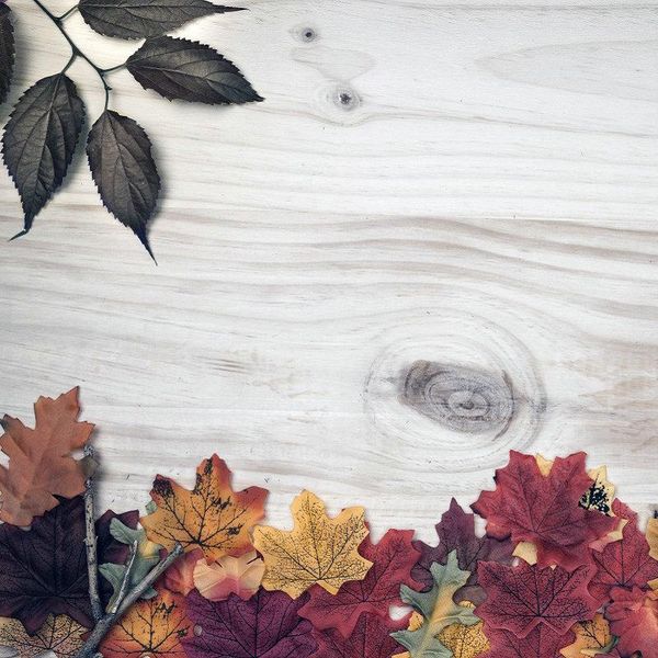 party decoration wooden board backdrop color background birthday wedding holiday baby shower po booth studio props
party decoration wooden board backdrop color background birthday wedding holiday baby shower po booth studio props