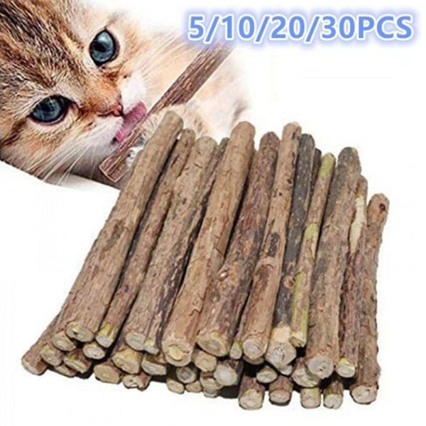 cat toys kitten teeth grinding rod polygonum snack natural catnip 
cat toys kitten teeth grinding rod polygonum snack natural catnip