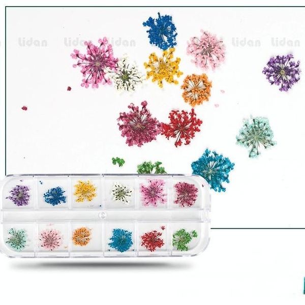 decorative flowers & wreaths 12-color immortal flowers, diy dried flower set,gift box of 24 nail art flowers,3d three-dimensional lace flowe
decorative flowers & wreaths 12-color immortal flowers, diy dried flower set,gift box of 24 nail art flowers,3d three-dimensional lace flowe