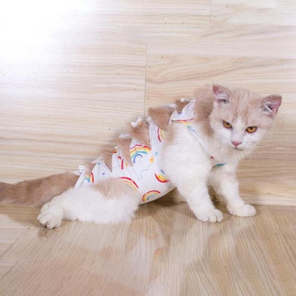cat costumes recovery suit abdominal wounds or skin diseases weaning clothes breathable physiological
cat costumes recovery suit abdominal wounds or skin diseases weaning clothes breathable physiological