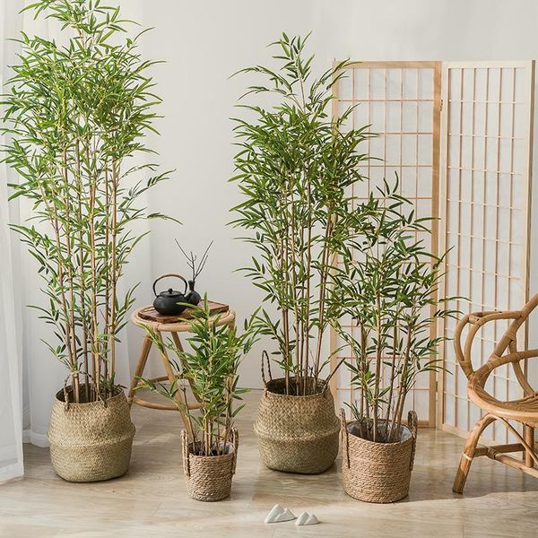decorative flowers & wreaths 70-150cm large artificial bamboo tree silk plants leaves tropical tall potted for home living room garden corri
decorative flowers & wreaths 70-150cm large artificial bamboo tree silk plants leaves tropical tall potted for home living room garden corri