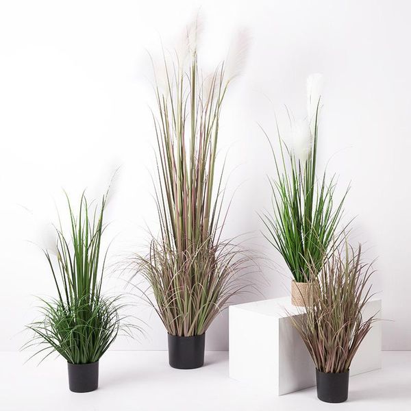 100-160cm tropical plants large artificial onion grass potted fake reed bonsai tall false tree branches for home wedding decor
100-160cm tropical plants large artificial onion grass potted fake reed bonsai tall false tree branches for home wedding decor