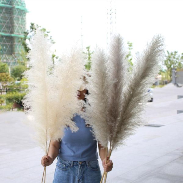 decorative flowers & wreaths large natural pampas grass for home decoration real fluffy dried bouquet outdoor wedding christmas venue
decorative flowers & wreaths large natural pampas grass for home decoration real fluffy dried bouquet outdoor wedding christmas venue