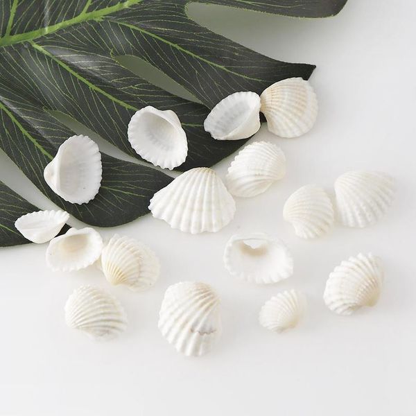 30g about 20pc aquarium landscape natural seashells decorations scallop shells jewelry crafts wall decor orname qylmxr, Black
30g about 20pc aquarium landscape natural seashells decorations scallop shells jewelry crafts wall decor orname qylmxr, Black