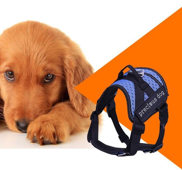 dog collars & leashes pet products arrival chest strap traction rope large adjustable accessories supplies harnesses vest
dog collars & leashes pet products arrival chest strap traction rope large adjustable accessories supplies harnesses vest