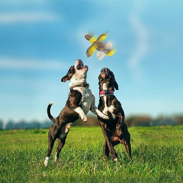 dog toys & chews plush chew pet puppy puzzle bite-resistant molar tooth cleaning sound animals toy training supplies
dog toys & chews plush chew pet puppy puzzle bite-resistant molar tooth cleaning sound animals toy training supplies