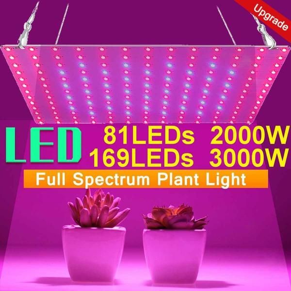 3000w/2000w 169/81 leds grow lights for indoor plants power saving full spectrum led lights for greenhouse gardening hydroponic
3000w/2000w 169/81 leds grow lights for indoor plants power saving full spectrum led lights for greenhouse gardening hydroponic