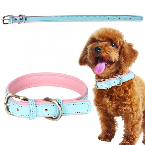 dog collars & leashes light blue leash collar artificial leather bronze metal buckle head pet neck strap for small medium size dogs
dog collars & leashes light blue leash collar artificial leather bronze metal buckle head pet neck strap for small medium size dogs