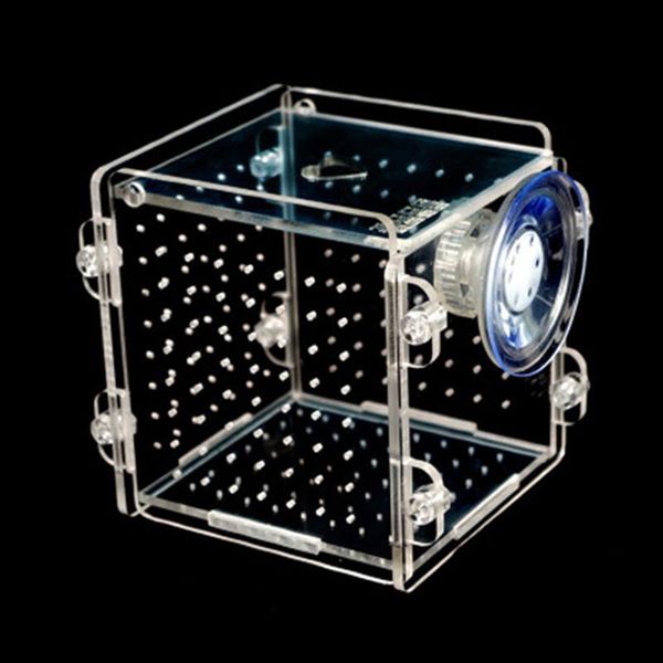 aquariums aquarium acrylic fish bowls tank breeding isolation box with sucker for baby hatchery rooms incubator reptile cage
aquariums aquarium acrylic fish bowls tank breeding isolation box with sucker for baby hatchery rooms incubator reptile cage