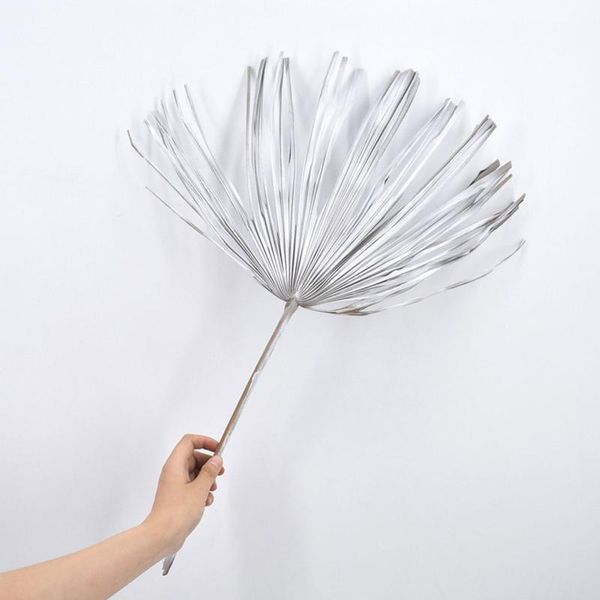 party favor natural dried palm leaves dry leaf shop window reception art diy wall home decor hanging,wedding decoration
party favor natural dried palm leaves dry leaf shop window reception art diy wall home decor hanging,wedding decoration