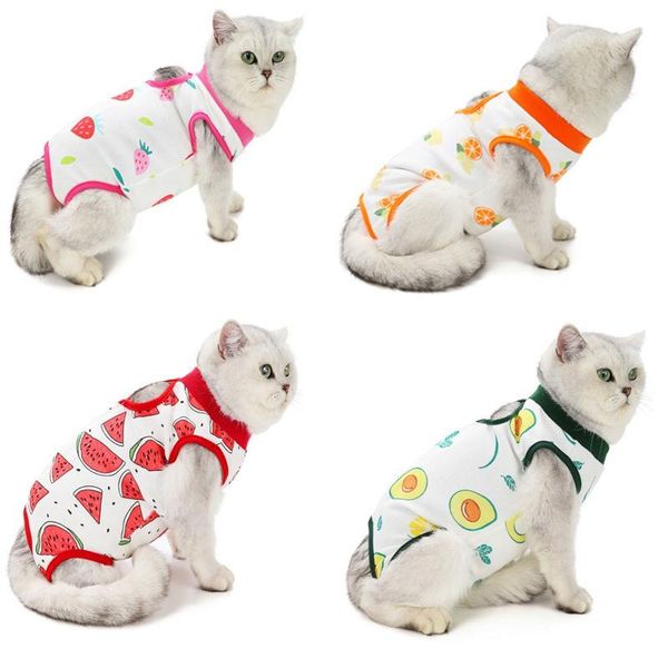 cat costumes sterilization suit weaning clothes anti-mite summer breathable physiological clothing pet supplies
cat costumes sterilization suit weaning clothes anti-mite summer breathable physiological clothing pet supplies