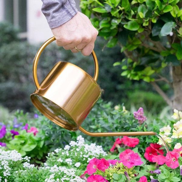 watering equipments long mouth stainless steel pot european gardening creative small sprinkling 1.3l gold tools and equipment
watering equipments long mouth stainless steel pot european gardening creative small sprinkling 1.3l gold tools and equipment