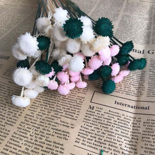 decorative flowers & wreaths 1-2cm head/45pcs real dried natural diamond flower,eternal dry small brazilian daisy branch for home decor,wedd
decorative flowers & wreaths 1-2cm head/45pcs real dried natural diamond flower,eternal dry small brazilian daisy branch for home decor,wedd