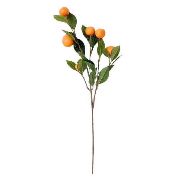 decorative flowers & wreaths tangerine branch artificial home wedding simulation plants shooting props 63cm fruit realistic rattan fak
decorative flowers & wreaths tangerine branch artificial home wedding simulation plants shooting props 63cm fruit realistic rattan fak