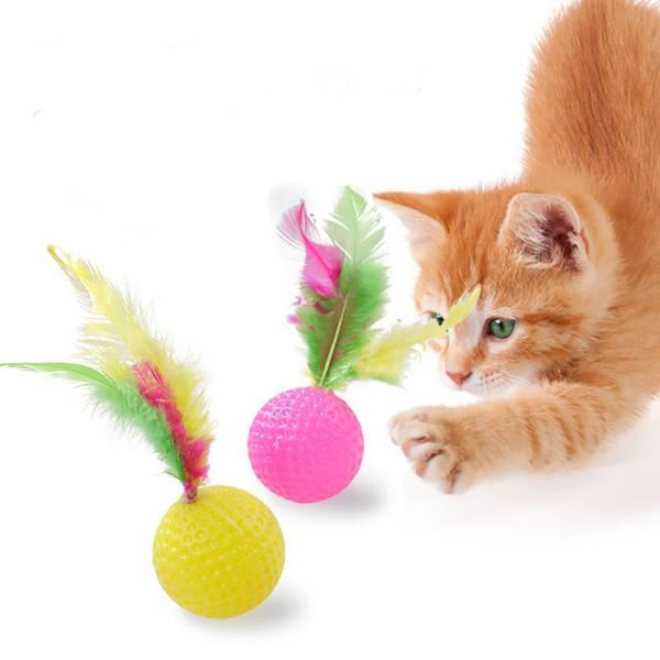 cat toys 2021 style random color pet dog tumbler feather kittens interactive scratching ball toy
cat toys 2021 style random color pet dog tumbler feather kittens interactive scratching ball toy
