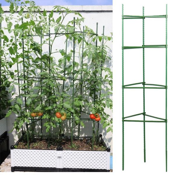 other garden supplies climbing vine support vegetables farm flower fruit tied bundle branch clamping plant too fix clip plastic rack stem
other garden supplies climbing vine support vegetables farm flower fruit tied bundle branch clamping plant too fix clip plastic rack stem