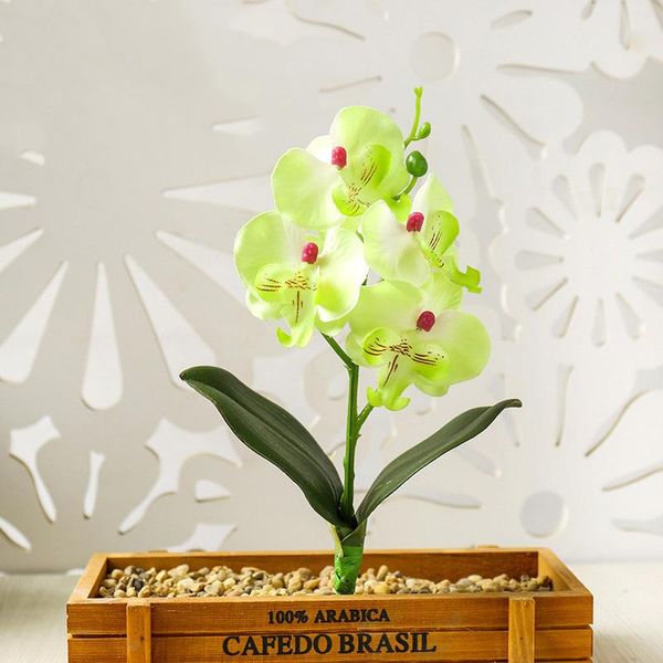 decorative flowers & wreaths bouquets decorations crafts diy ornament artificial phalaenopsis bonsai wedding
decorative flowers & wreaths bouquets decorations crafts diy ornament artificial phalaenopsis bonsai wedding