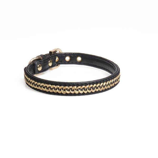 dog collars & leashes gold wire woven pet collar, made of leather, buckle design, fine workmanship, cat supplies
dog collars & leashes gold wire woven pet collar, made of leather, buckle design, fine workmanship, cat supplies