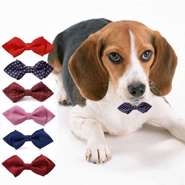 2021 bow tie party pet cute durable fashion bow polyester fiber collar suitable for small and medium-sized dogs
2021 bow tie party pet cute durable fashion bow polyester fiber collar suitable for small and medium-sized dogs