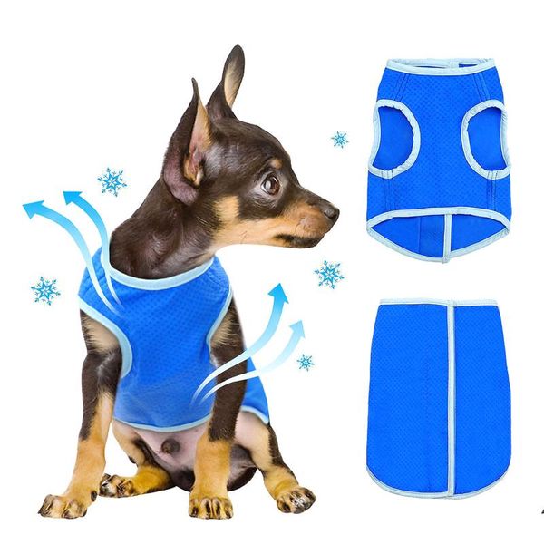 dog apparel small cooling vest reusable swamp cooler jacket lightweight pet cool coat for summer weather blue
dog apparel small cooling vest reusable swamp cooler jacket lightweight pet cool coat for summer weather blue