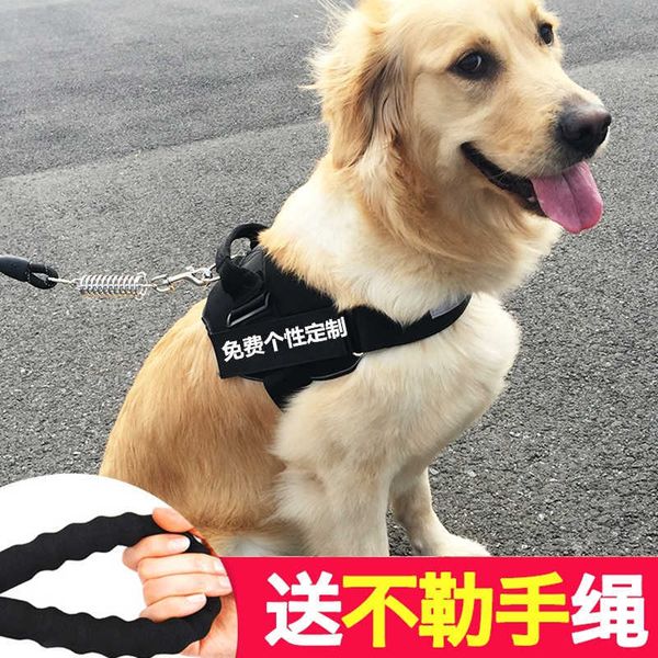 medium and large vest type walking rope labrador golden fur products teddy small dog chain
medium and large vest type walking rope labrador golden fur products teddy small dog chain