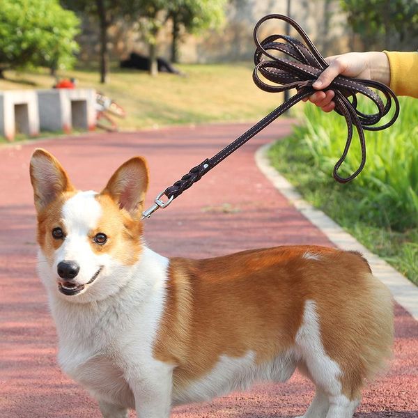 dog collars & leashes genuine leather leash 3 meters long elegant strap durable doggy flat rope cat leads puppy tractions for small medium b
dog collars & leashes genuine leather leash 3 meters long elegant strap durable doggy flat rope cat leads puppy tractions for small medium b